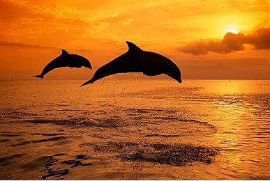 《第一狂战士：卡赞》免费DLC 5月上线 新补丁调整Boss和技能